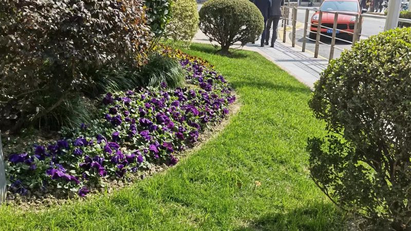 成都市政园林绿化工程报价，如何合理评估？**