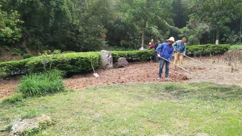 边坡绿化工程招标文件：关键要素与注意事项**