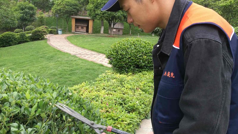 室内垂直绿化墙：报价背后的考量因素**