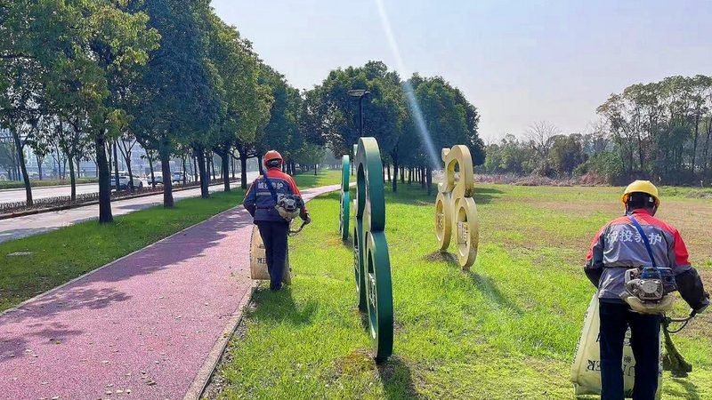 私家花园草坪复壮，从了解流程开始**