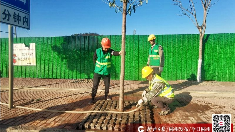 屋顶绿化品牌报价单：揭秘报价背后的考量因素**