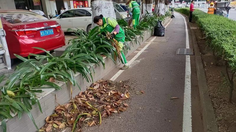 屋顶绿化基质：打造绿色屋顶的秘密武器