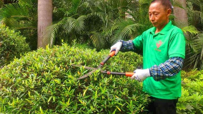 人工草坪铺设：如何精准计算总面积及价格**