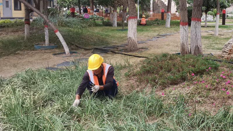 做园林的公司怎么避免增项