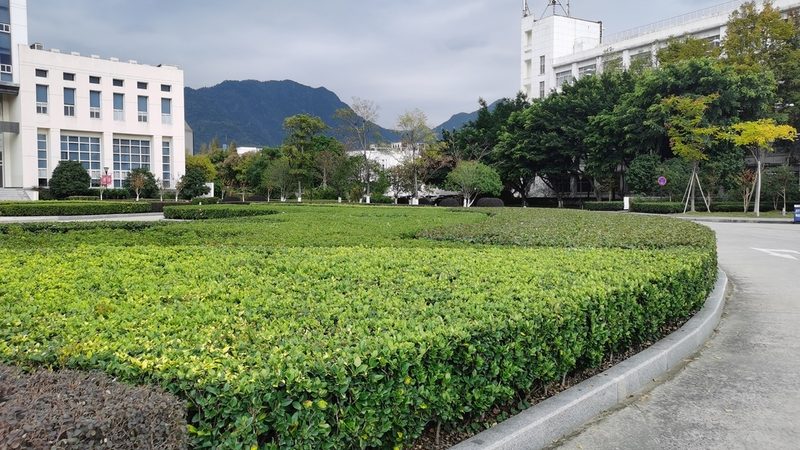商场绿化养护公司对比