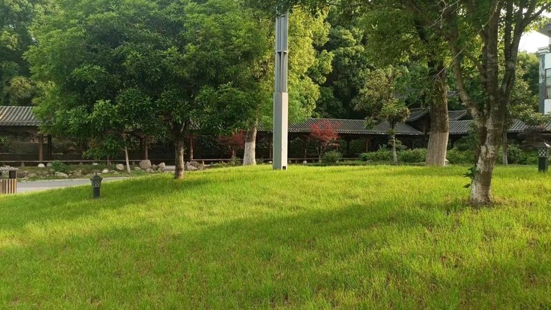 屋顶绿化，如何确保施工规范与验收达标？**