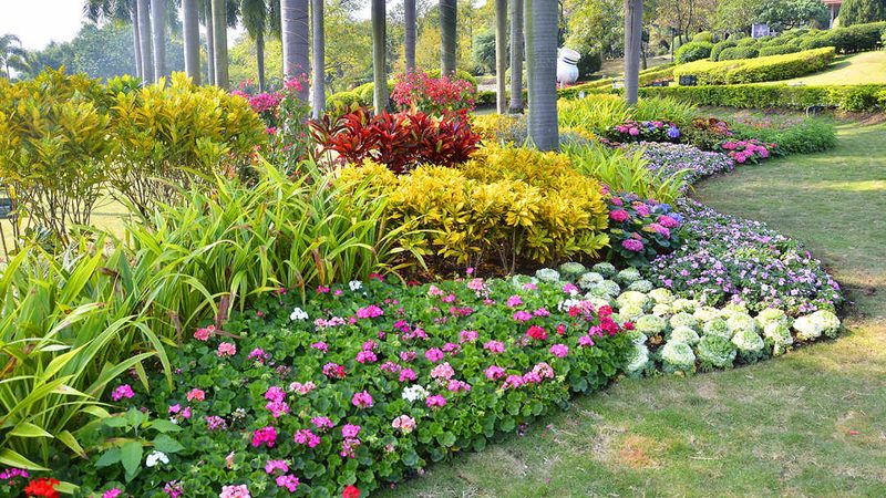 边坡客土喷播植草，这些注意事项你了解吗？**